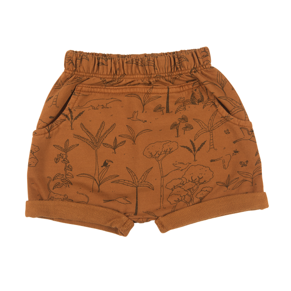 The Story Shorts